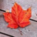 Mayuri Hotel Restaurant